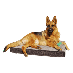 Cama para perros Lavable